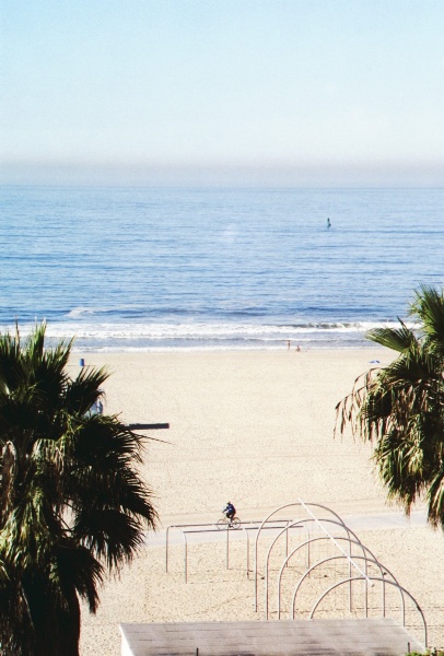 406x600 pixels (96K)