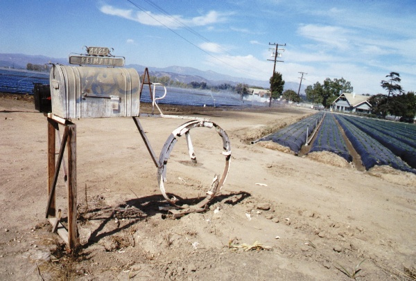 600x406 pixels (120K)